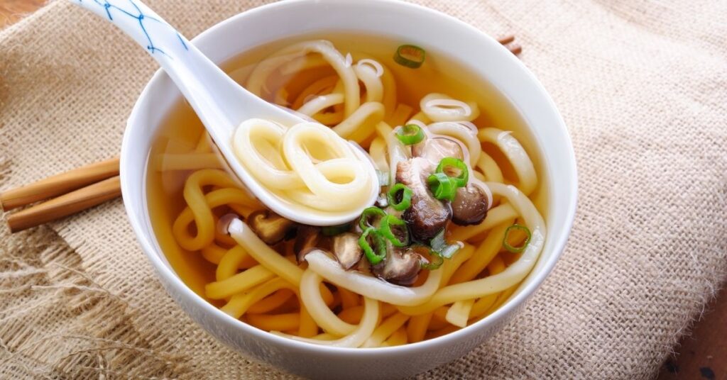 Udon, traditional Japanese dish